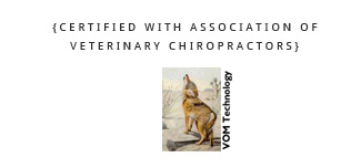 Veterinary Chiropractors